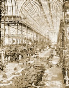 Het interieur van het schip genomen vanuit de galerij boven het Koninginnen Scherm aan de zuidkant c.1859