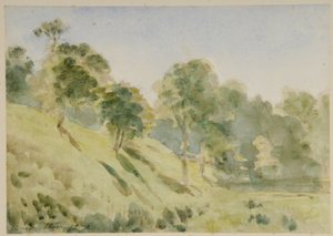 (aquarel op papier)