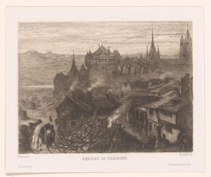 Gezicht op Freiburg
