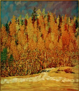 Herfstbos