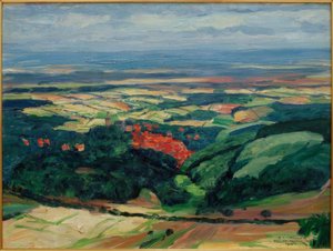 Uitzicht over Kronberg in de Mainevlakte