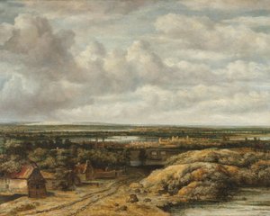 Verre uitzicht met huisjes langs een weg