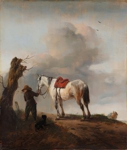 Het witte paard door Philips Wouwerman