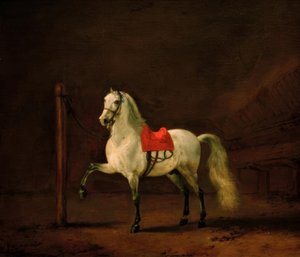 Een schimmel in de stal door Philips Wouwerman