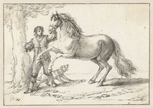 Jonge man houdt een steigerd paard bij de teugel, geschrokken door een blaffende hond