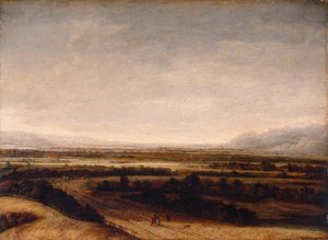Vlak landschap met uitzicht op verre heuvels