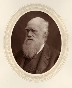 Portret van Charles Darwin 1809-1882, 1877 door Photo studio Lock and Whitfield