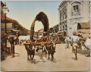 India. Ceylon. Colombo. Straatscène, naar foto van Dr. Kurt Boeck