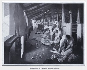 Handscheren in een Riverina-wolschuur, Merribee door Photographer Australian