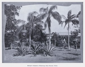 Woning van de manager, Kamerunga State Nursery, Cairns door Photographer Australian