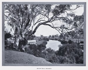 Mitchell River, Bairnsdale door Photographer Australian