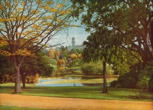  door Photographer Australian