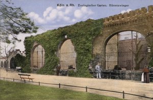 Dierentuin van Keulen, Beren (foto)