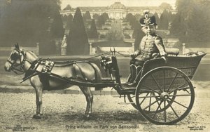 Kroonprins Willhelm, Sanssouci Paleis, Potsdam door Photographer German