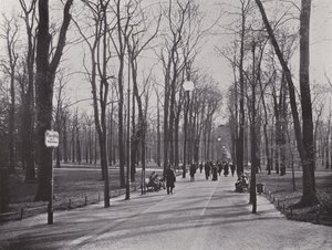 In de Tiergarten, Ahornsteig (zw/w foto) door Photographer German