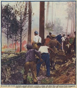 Boeren en soldaten vechten tegen een bosbrand in het Zwarte Woud, Duitsland door Photographer German