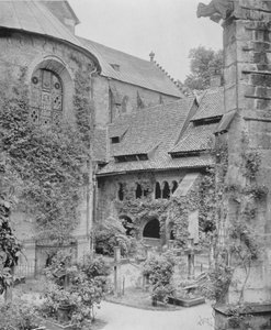 Duizendjarige rozenstruik door Photographer German