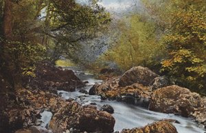 Ierland: In De Dargle, County Wicklow door Photographer Irish