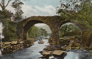 Zuid-Ierland: De Oude Weir Brug (de stroomversnellingen), Killarney