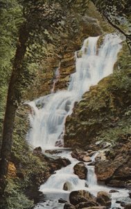 Zuid-Ierland: Torc Waterval, Killarney door Photographer Irish
