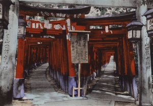 Japan, ca. 1912: Torii Laan, Heiligdom van Fushimi nabij Kyoto door Photographer Japanese