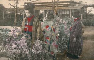 Japanse vrouwen met wisteriaplanten