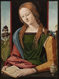 Magdalena lezend