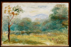 Landschap uit Zuid-Frankrijk (Cagnes-sur-Mer)