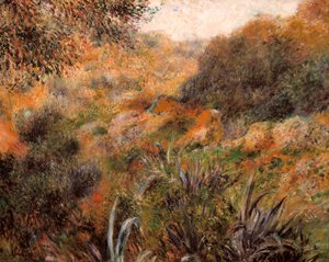 Algerijns landschap, de kloof van de wilde vrouw door Pierre Auguste Renoir