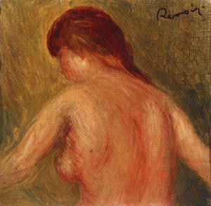 Naakt vrouwelijk torso, van de achterkant