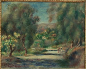 Landschap van Cagnes