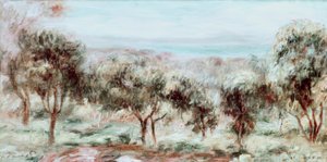 Landschap, de olijfbomen