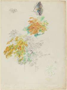 Studies van bomen