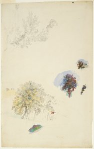 Studies van bomen en bladeren door Pierre Auguste Renoir