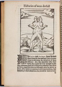 Een verzameling buitengewone verhalen Histoires prodigieuses, 1560 door Pierre Boaistuau