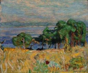 De baai van Saint-Tropez door Pierre Bonnard
