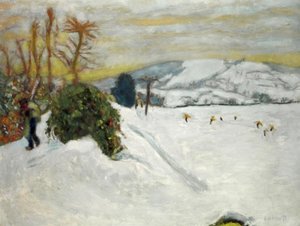 De sneeuw in Grand-Lemps (Sneeuw in Dauphiné)