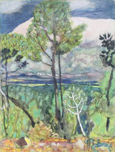 Landschap door Pierre Bonnard