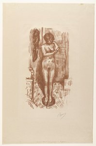 Staande naakte vrouw wast zich door Pierre Bonnard