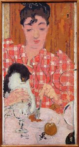 De Geruite Blouse, 1892
