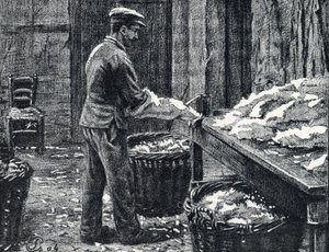 Leer: splitsen van konijnenhuiden om leer te maken Gravure uit "Excursion a travers les metiers" door Pierre Calmette Privécollectie