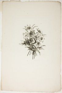 Boeket met narcissen, uit Collectie van Verschillende Bloemboeketten, Uitgevonden en Getekend door Jean Pillement en Gegraveerd door P. C. Canot