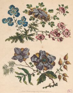 Twee Takken van Denkbeeldige Bloemen