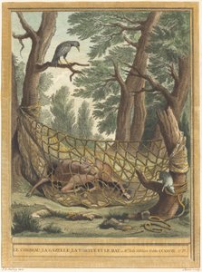 De Kraai, de Gazelle, de Schildpad en de Rat
