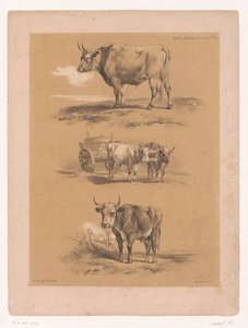 Drie studies van ossen en ossenwagen