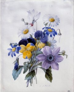 Een boeket bloemen: clematis, viooltje, madeliefje en cyclamen
