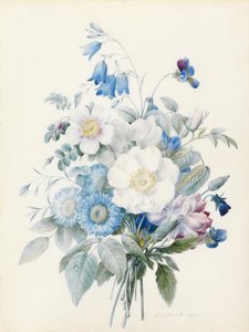 Blauwe asters, rosa spinosissima (hybride), klokjesbloem, viooltjes, anjer en een wilde roos