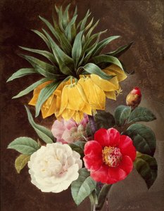 Exotische Bloemen