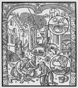 November, het varken doden en eikels oogsten, Schorpioen, illustratie uit de 