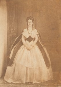 Bal door Pierre Louis Pierson